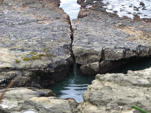 Little pool